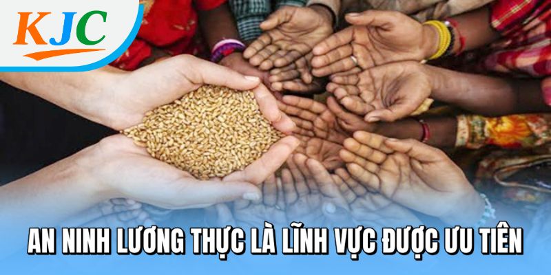 Google Rót 37 Triệu USD Phát Triển AI Tại Châu Phi - Cơ Hội Bứt Phá Công Nghệ Cho Lục Địa Đen 2 An ninh lương thực là lĩnh vực được ưu tiên